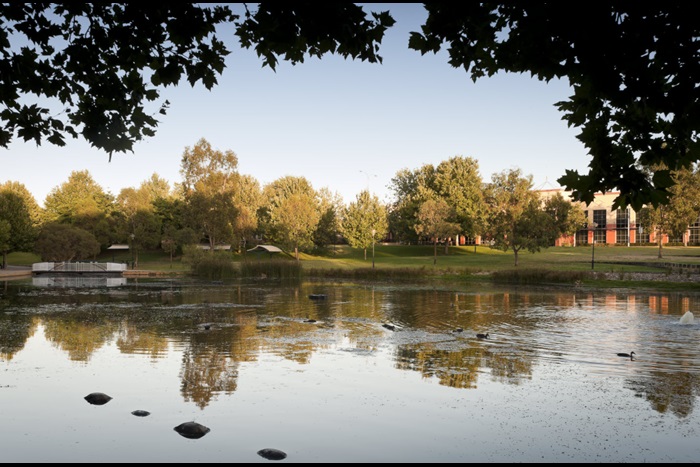 Claisebrook Cove stormwater project