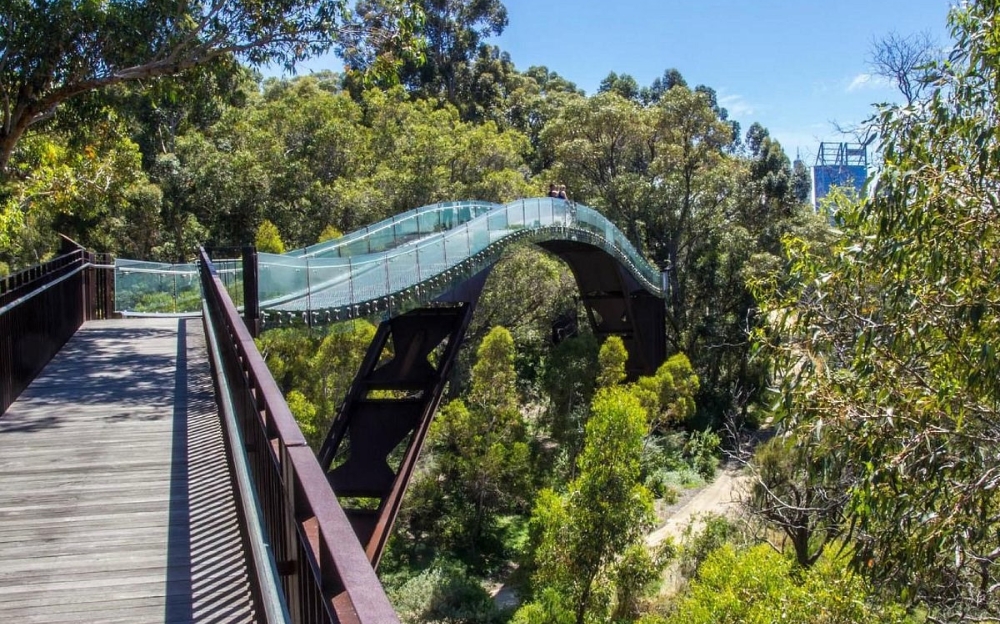 Kings Park - Screenwest