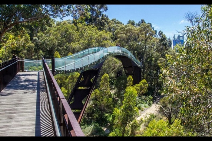 Kings Park - Screenwest