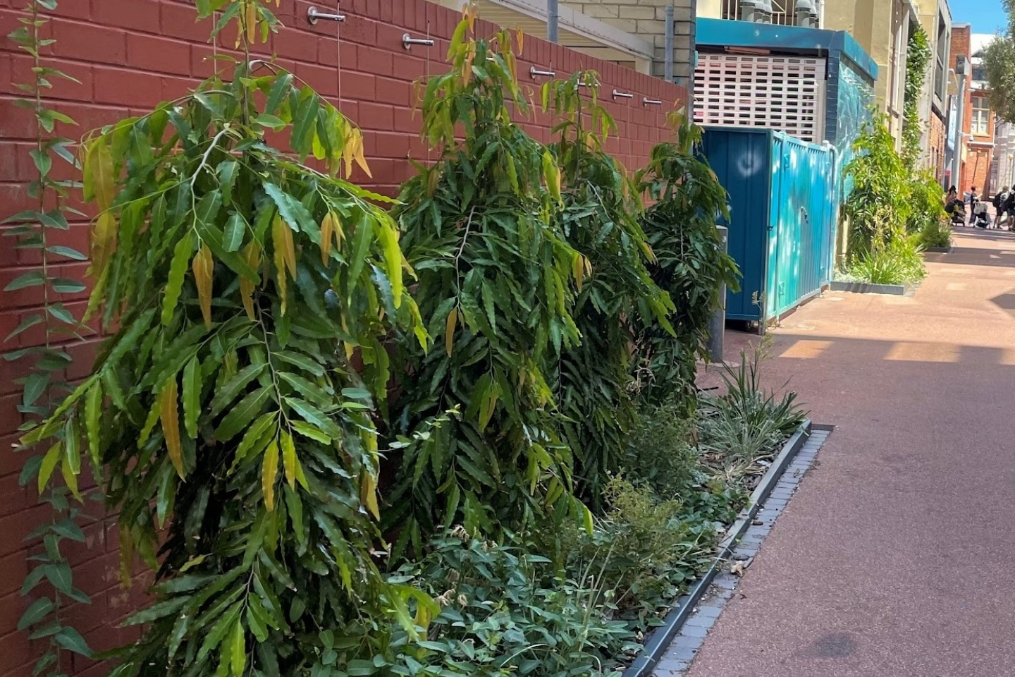 Greener Streets Project