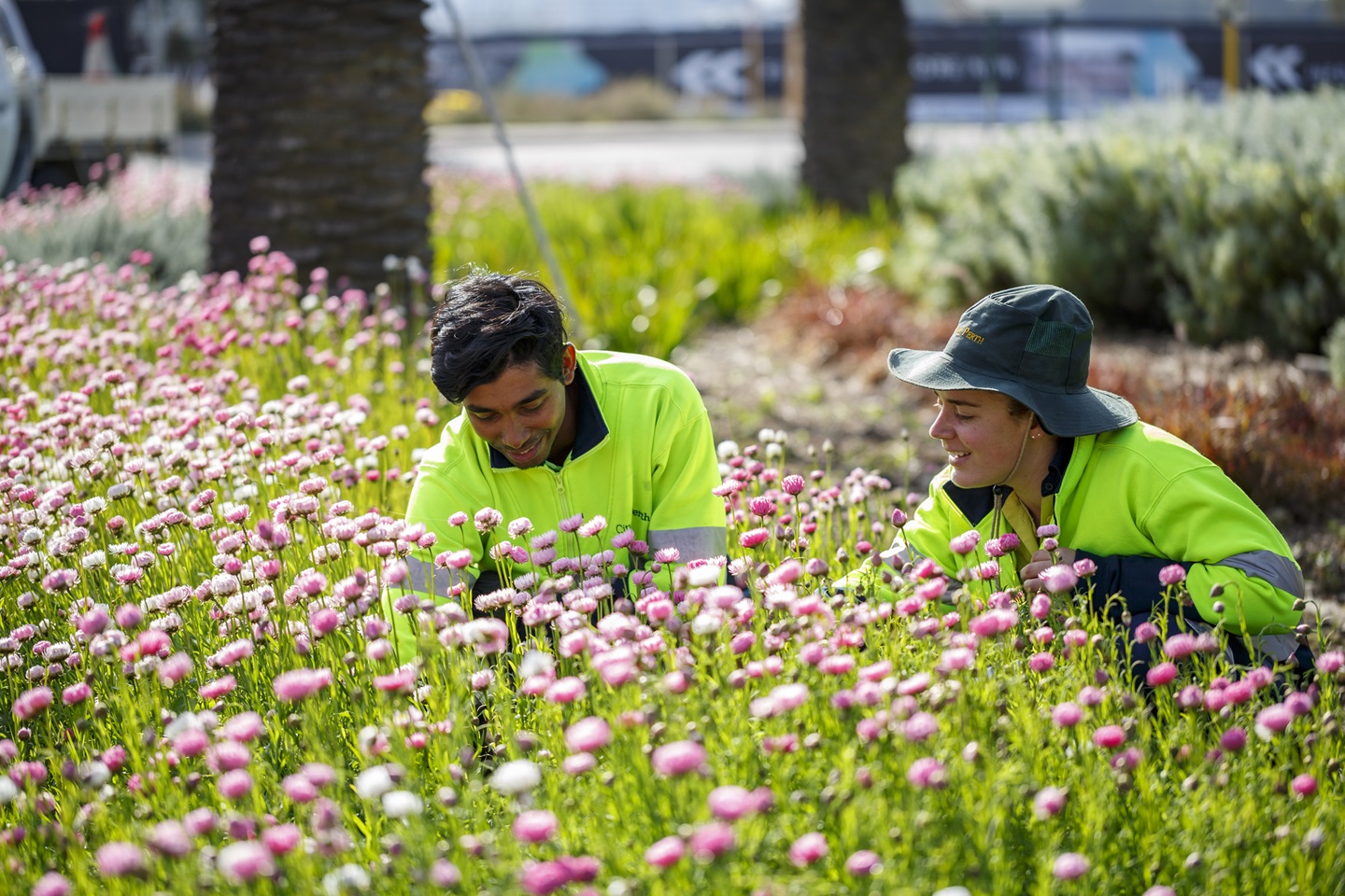 City of Perth horticultural staff working in a garden