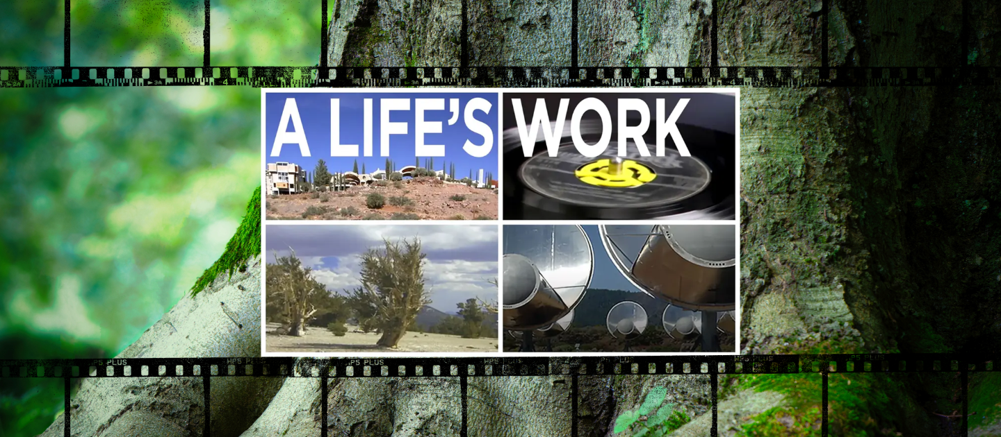Promotional tile for the film A Life's Work against a tree background. 