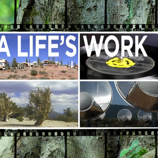 Promotional tile for the film A Life's Work against a tree background.