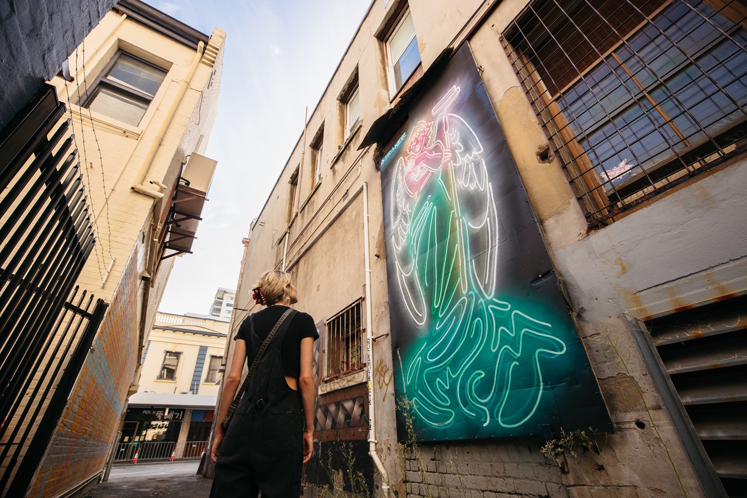 A person looking at a mural by artist Straker in a Perth laneway
