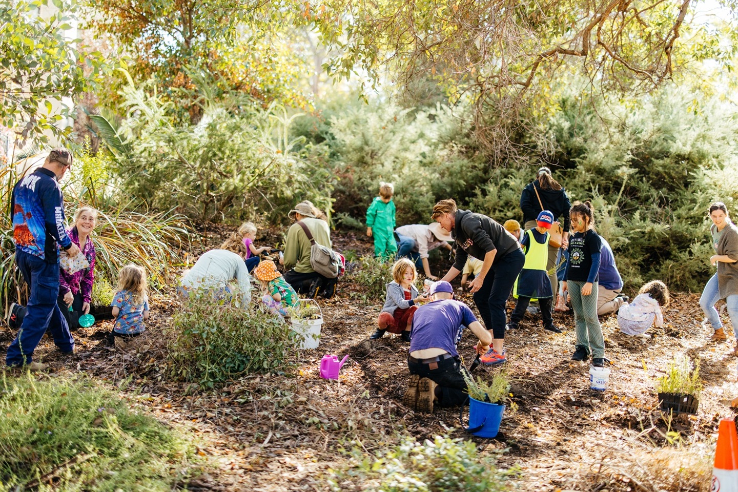 People attending a community planting day