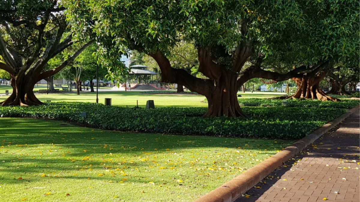 View of a Russell Square grassed area with the rotunda in the background