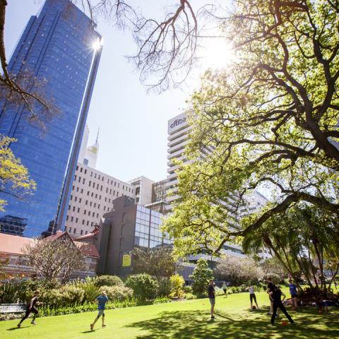 People exercise at Stirling Gardens with city buildings in the background