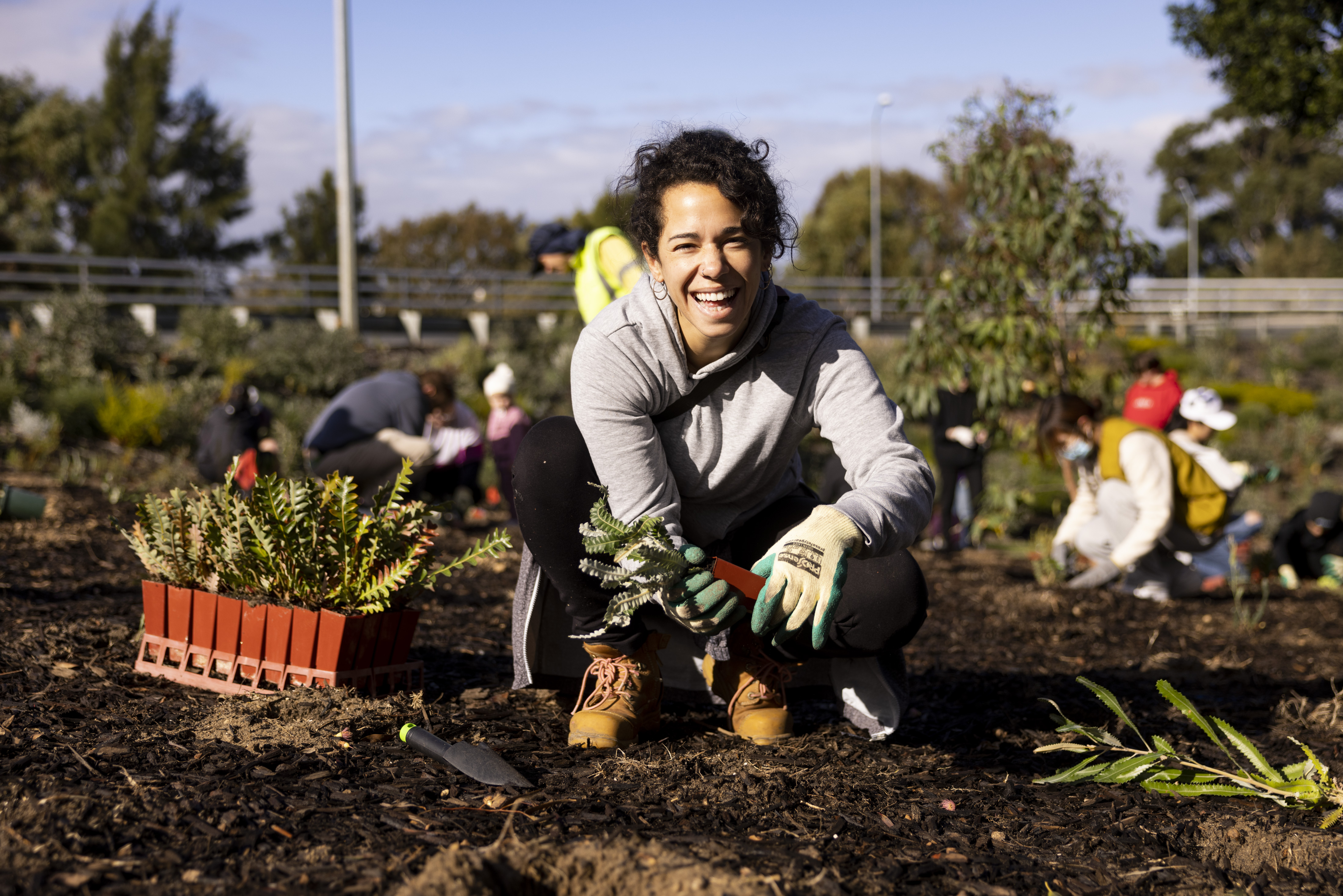 Community Planting - Arden