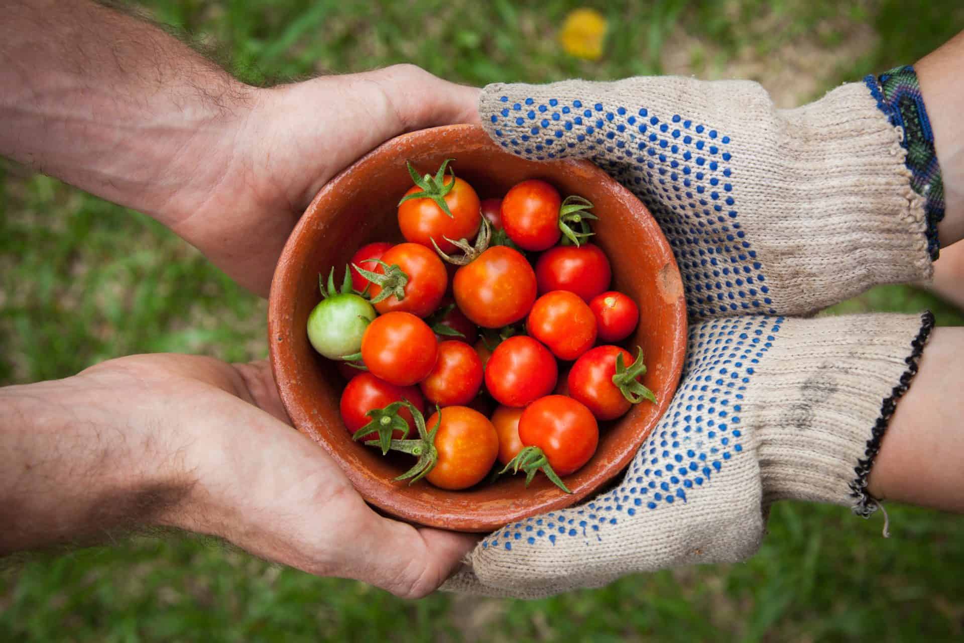 Organic Growing
