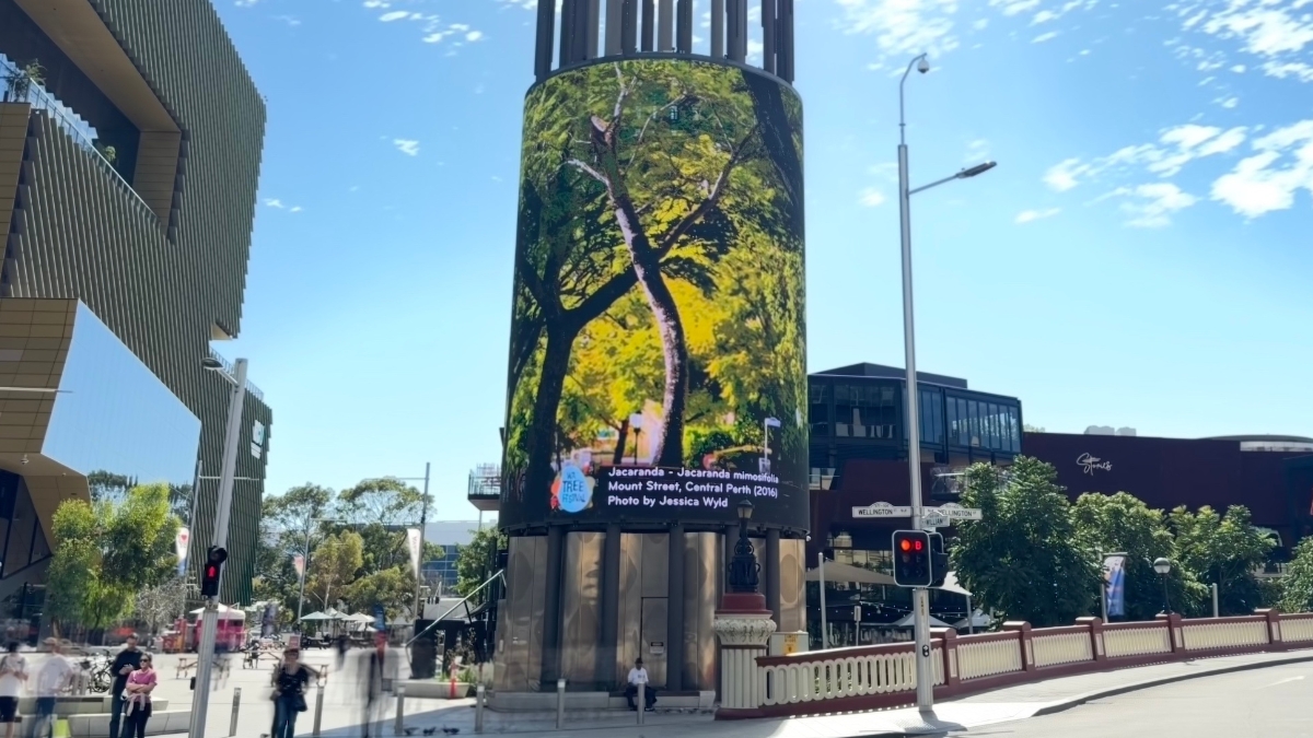 WA Tree Festival 2026