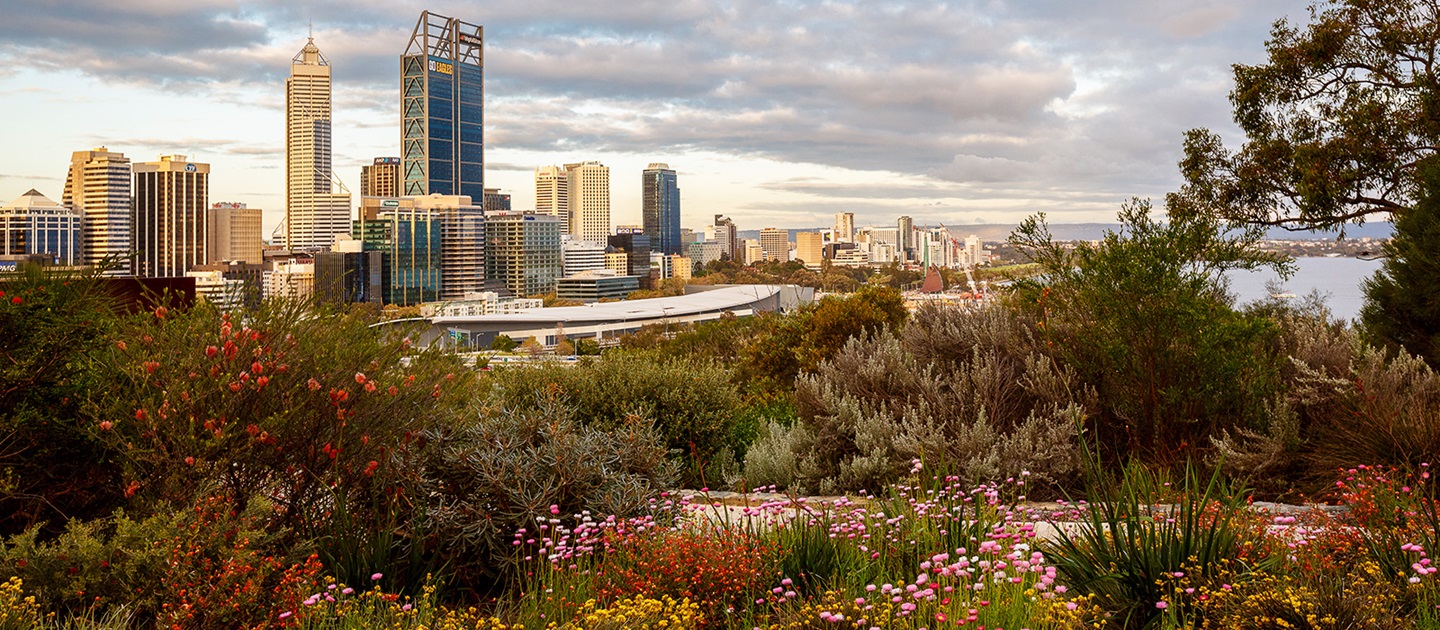 View From Kings Park in Perth