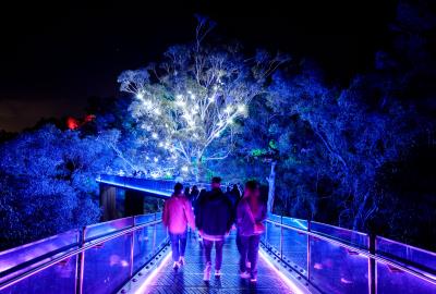 Lightscape 2023