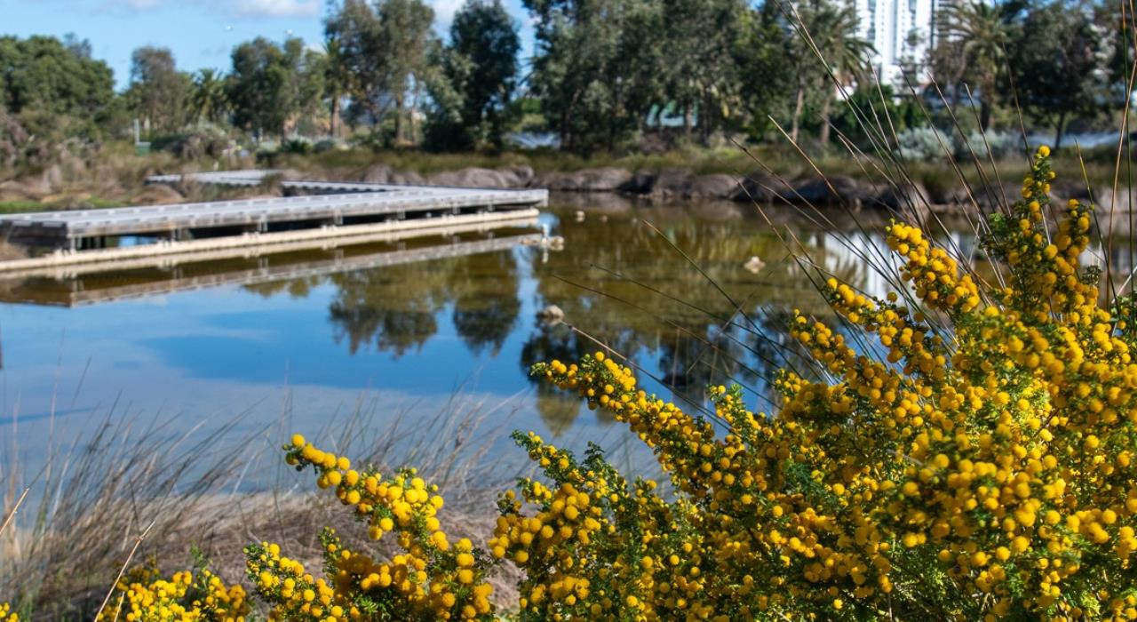 Point Fraser